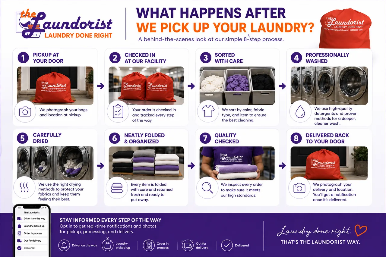 What Happens After We Pick Up Your Laundry? A Behind-the-Scenes Look at The Laundorist